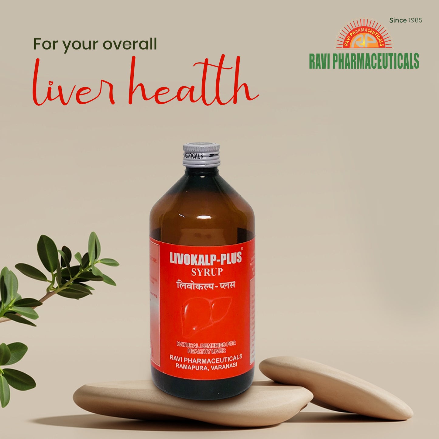 LIVOKALP -Plus Syrup